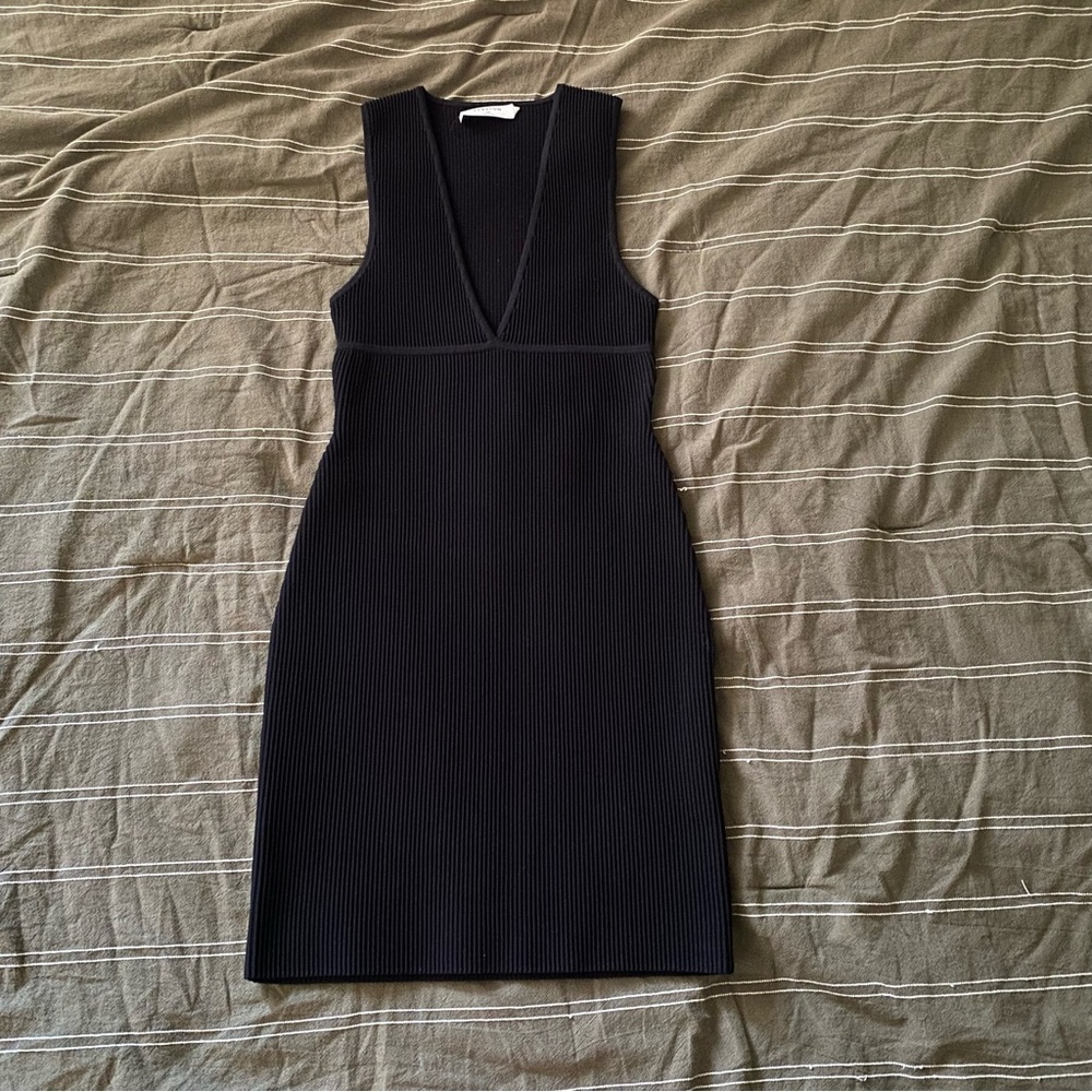 Aritzia bodycon
